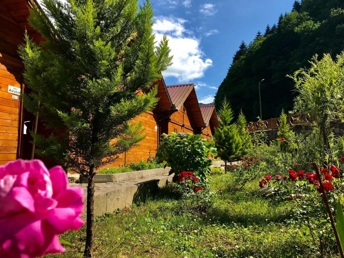 Tuva Villa Bungalov Çamlıhemşin Extérieur photo