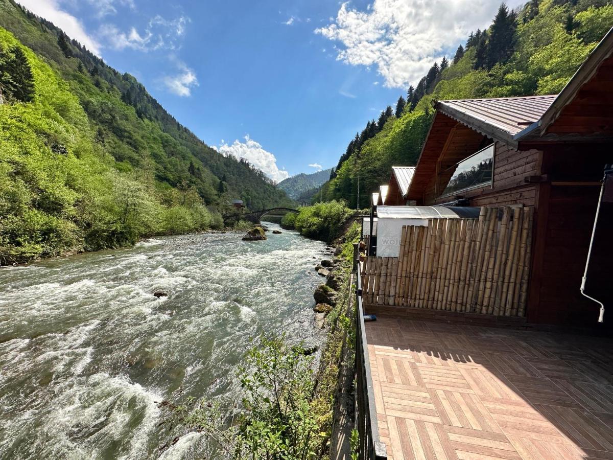 Tuva Villa Bungalov Çamlıhemşin Extérieur photo